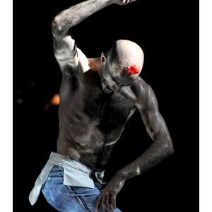 Para diso EMIO GRECO PIETER C. SCHOLTEN