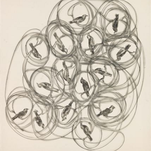 Denis Castellas au musée national Marc Chagall