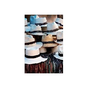 « VENCE FÊTE SES CULTURES » Carrefour du monde et des cultures 