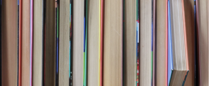 Festival du Livre de Nice : Huit romans en lice pour le 30e Prix « Nice Baie des Anges »