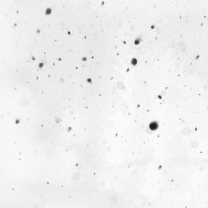 La Station : La nuit nous verrons clair !