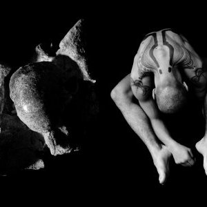 Mouvements Anthropomorphiques