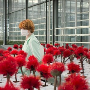 LITTLE JOE de Jessica HAUSNER