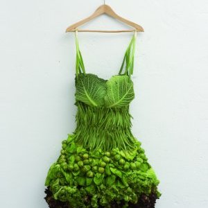 Vert, une couleur... et au-delà !!