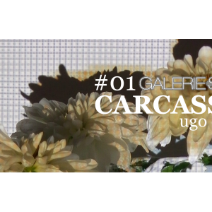 Carcasses d'Ugo Cerina 