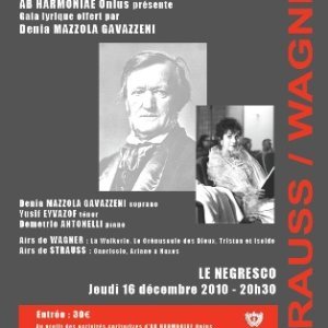 Concert lyrique de prestige WAGNER / STRAUSS