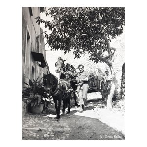 Denis Brihat poète de l'image