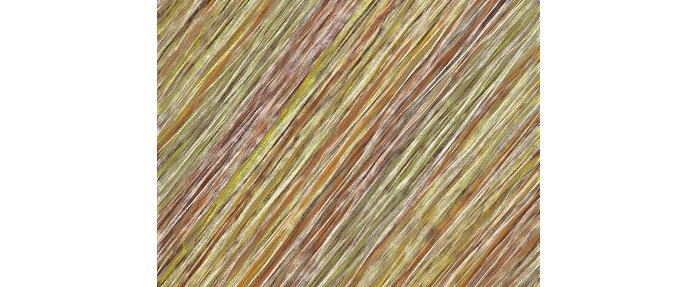 Marie-Elisabeth Collet ou la structure intérieure de l'organique (2/3)