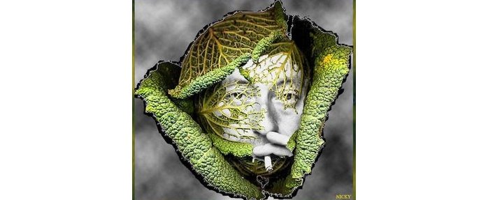 L'Homme à tête de chou