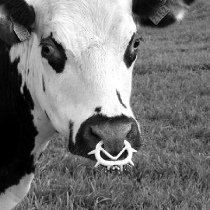 Images fertiles et peuples nourriciers : Regards sur l'agriculture 