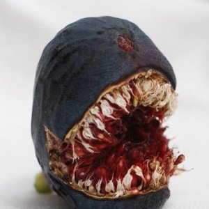 Exposition Tous à la Photo à Nice : Focus sur l'artiste Gabriel Fabre