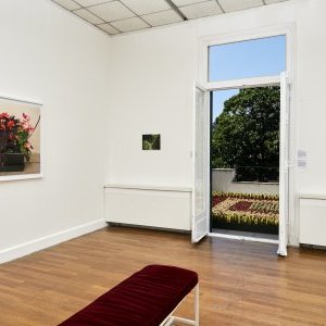 Les fleurs du mâle : pas si naïves...