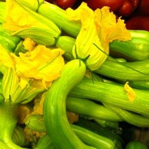 Recette originale de Giordan de la Peppa #3 : LES BEIGNETS DE FLEURS DE COURGETTES DE NICE