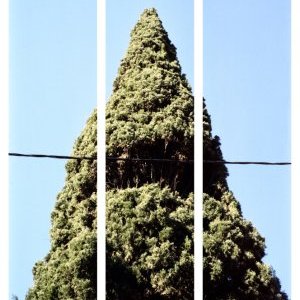 Festival de la Photographie Méditerranéenne : appel à candidature