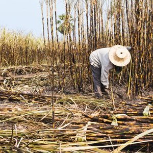 Le théâtre National de Nice présente « Terre noire », une création originale engagée