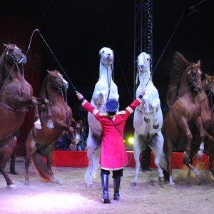 La magie du cirque s'installe au M.I.N.