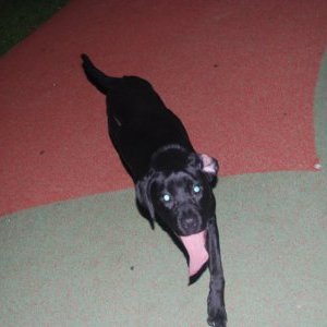 Villa Cameline : Expo de Ben Saint-Maxent "No more parties in LA - Que se passe-t-il quand les fêtes se finissent ?"