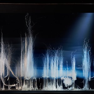 Cosmogonies, au gre ? des e ?le ?ments, au MAMAC