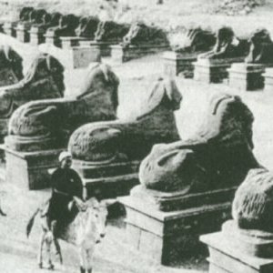 Chronique 30 : Question de mémoire : César et Jany Carré » (Part III) 