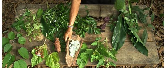 Ursula Biemann "Savoirs indigènes – Fictions cosmologiques" au Mamac