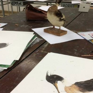 La Villa Thiole vous attend pour sa journée Spéciale Prépa artistique !