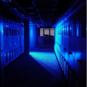 « Artistes de Collection »