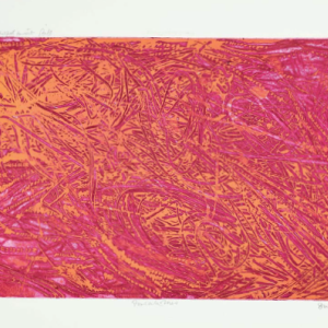 WILLIAM HAYTER ou la métamorphose des lignes