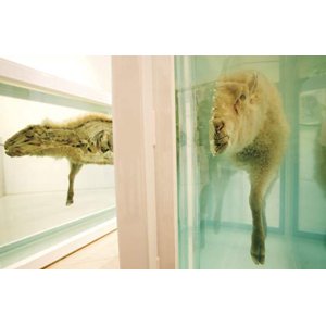 Damien Hirst à Monaco, pour le Centenaire du Musée Océanographique