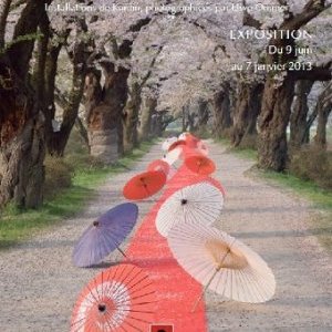 Nature et Haïku : Quand le poème devient art éphémère