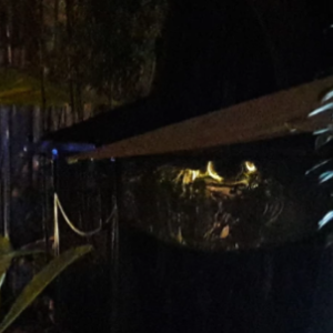 Hôtel Windsor Nice organise un Parcours vidéos pour les Visiteurs du Soir les 2 et 3 juin