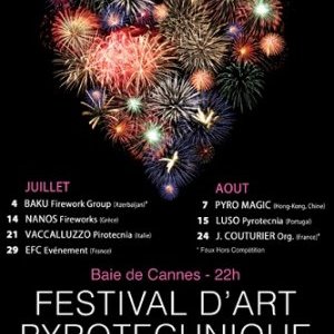 Palmarès 2013 du festival d'Art Pyrotechnique