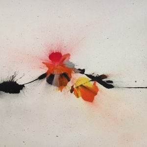 Noël Dolla : de l'atelier au musée Matisse...