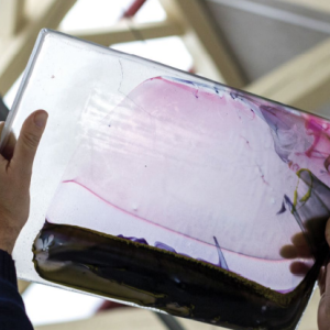 EMMANUEL RÉGENT - Les silences de Maeterlinck