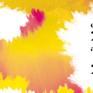 Avignon 2024 : ébullition, rires, émotions et sacrées découvertes théâtrales