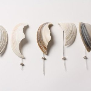 Le bijou contemporain à Cagnes, regard sur la Nouvelle-Zélande