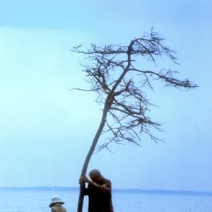 NICE : En avril la Cinémathèque joue dans la cour des grands...