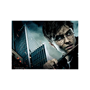  La Ville de Nice soutient la mobilisation des fans niçois de Harry Potter !