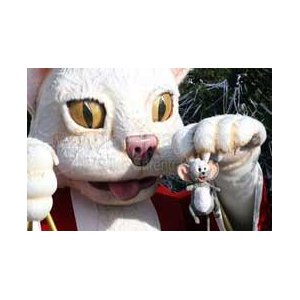 Casting Batailles de Fleurs et Election de la Reine