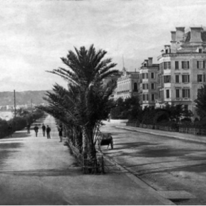 #6 PromenadeS des Anglais : La Promenade ou l'invention d'une ville - MUSÉE MASSÉNA