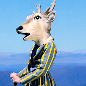 Webinaire Franz Liszt : métamorphoses de l'homme et de l'œuvre »