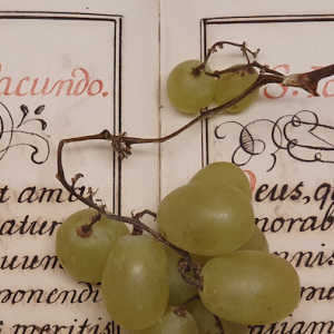 Brian Finch, première exposition en France et c'est à Menton