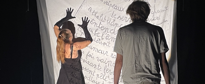 "Danser, dansez, Pensez-y" : Performance théâtrale dansée de Sandra Ponzetti et Jean-Paul Ducarteron 