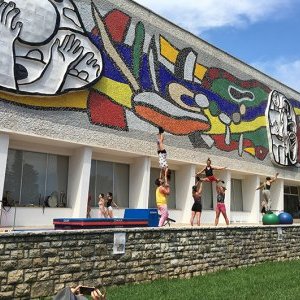 Musées nationaux du XXe siècle des Alpes Maritimes : Le dialogue se poursuit 