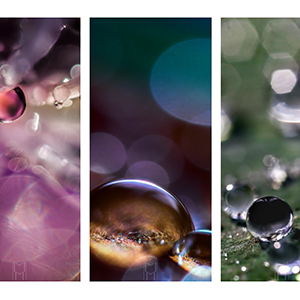 Sphères Phil(eau)sophales, expo de Moko magnifiée dans les jardins de la Madone