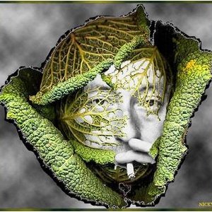 L'homme à la tête de chou par Alain Bashung