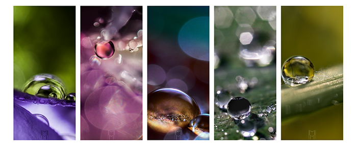 Sphères Phil(eau)sophales, expo de Moko magnifiée dans les jardins de la Madone