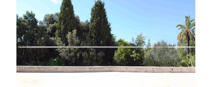 Le Parcours de l'ombre d'Henri Olivier au Musée Chagall