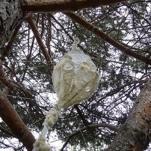 Les artistes no-made à l'Arboretum de Roure !