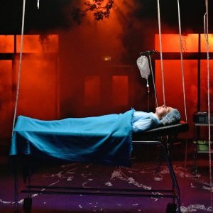 « La vie est une fête », par « Les Chiens de Navarre »