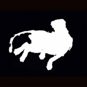 NOGENT/MARNE : André S. Labarthe, le Chat de Barcelone 